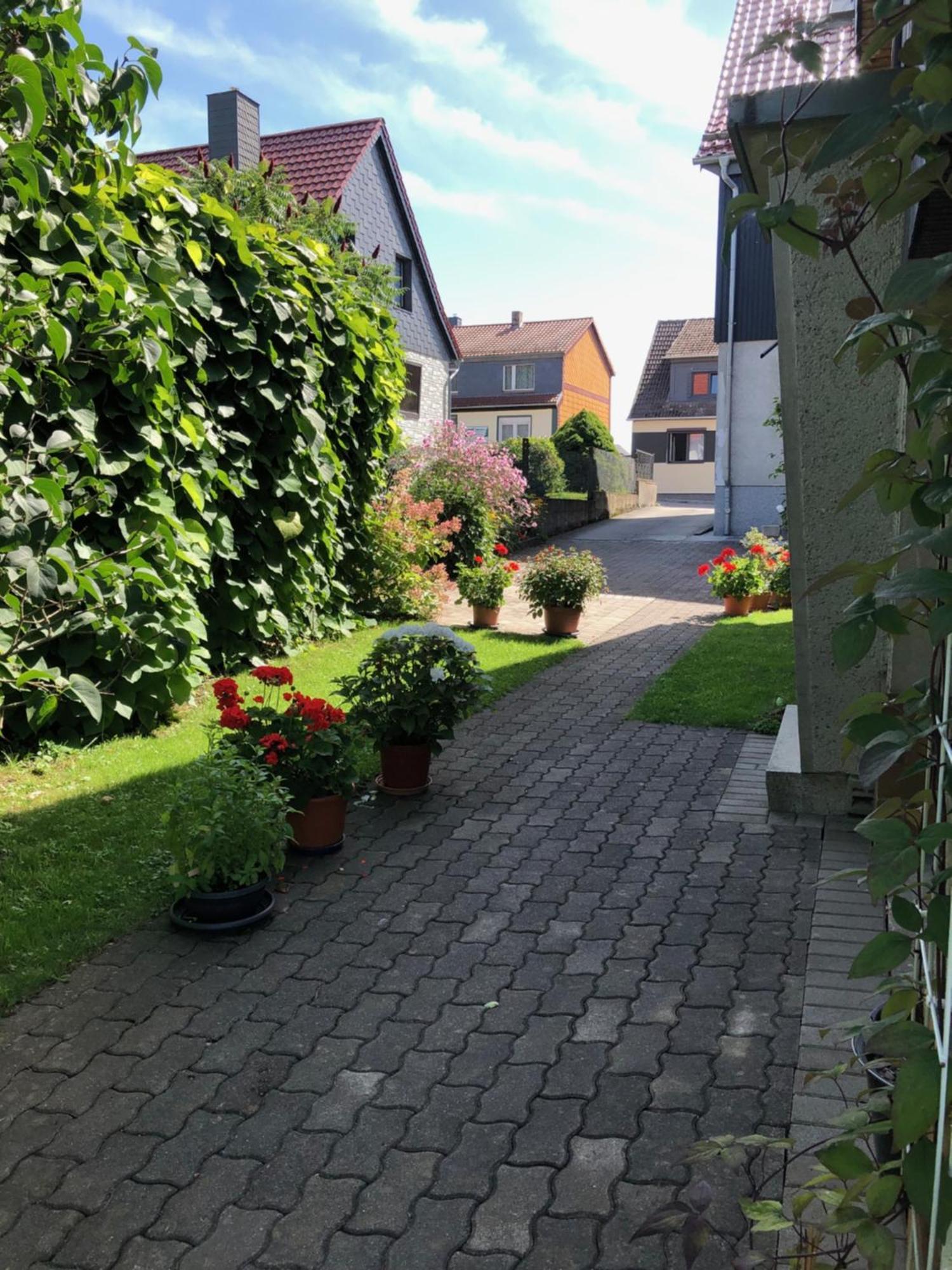 Harzquerbahnblick Apartment Benneckenstein Exterior foto